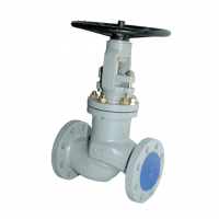 Bellow Seal valve